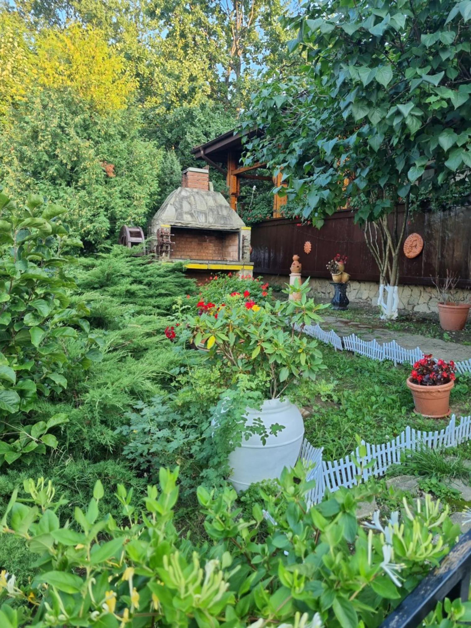 Casa Boiereasca Ξενοδοχείο Ιάσιο Εξωτερικό φωτογραφία