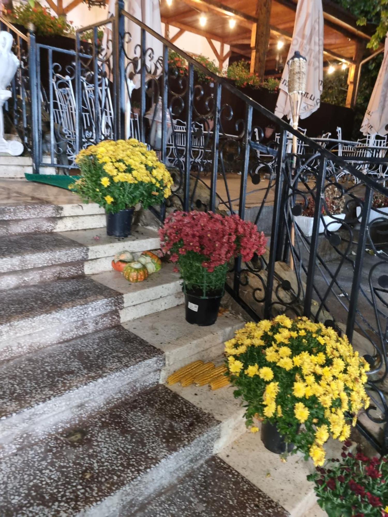 Casa Boiereasca Ξενοδοχείο Ιάσιο Εξωτερικό φωτογραφία