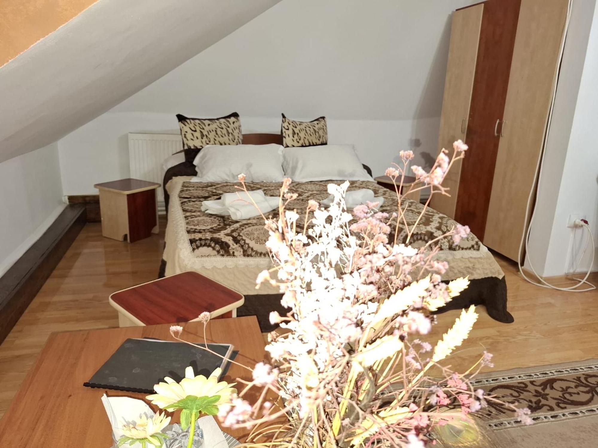 Casa Boiereasca Ξενοδοχείο Ιάσιο Εξωτερικό φωτογραφία