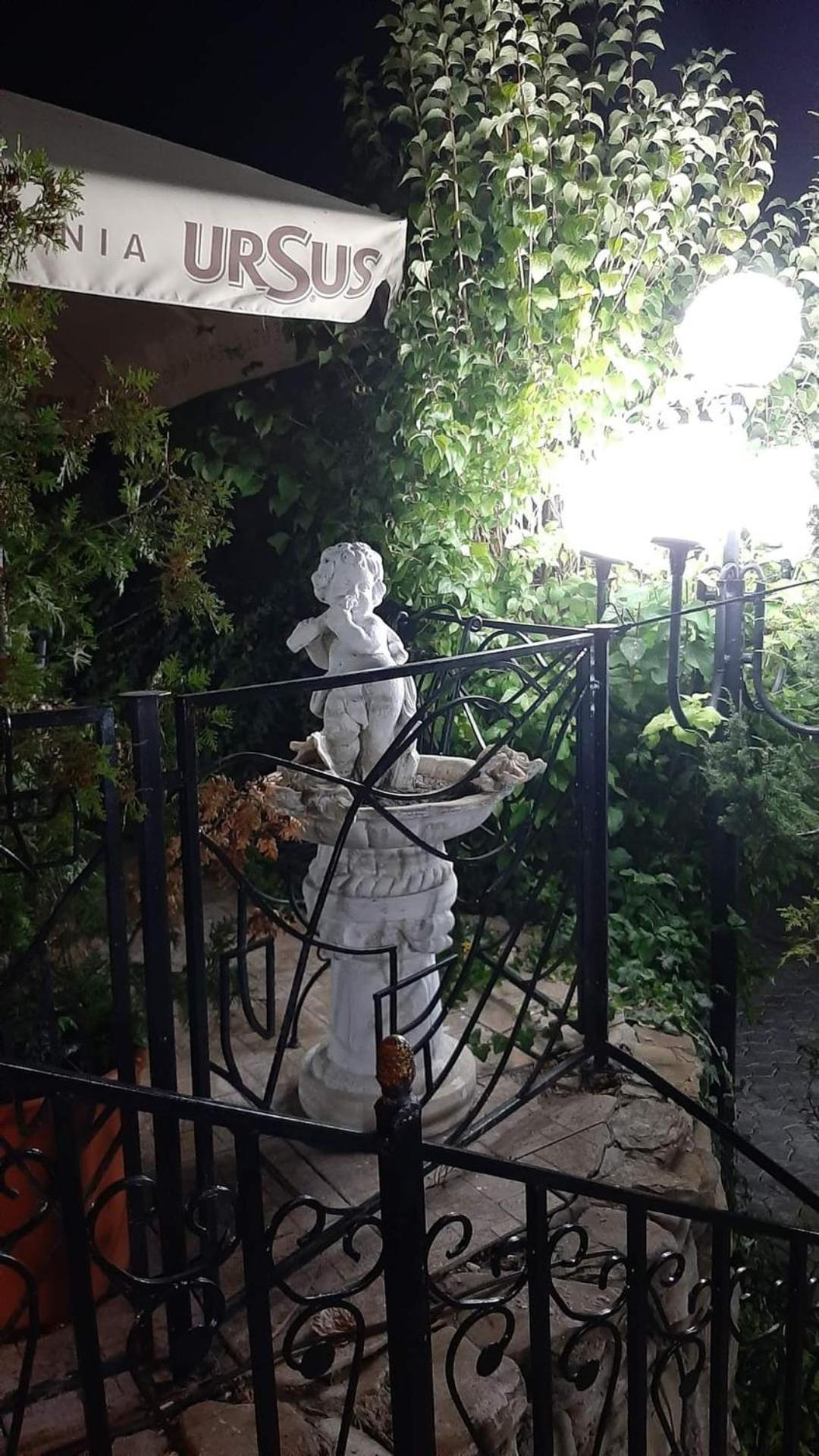 Casa Boiereasca Ξενοδοχείο Ιάσιο Εξωτερικό φωτογραφία