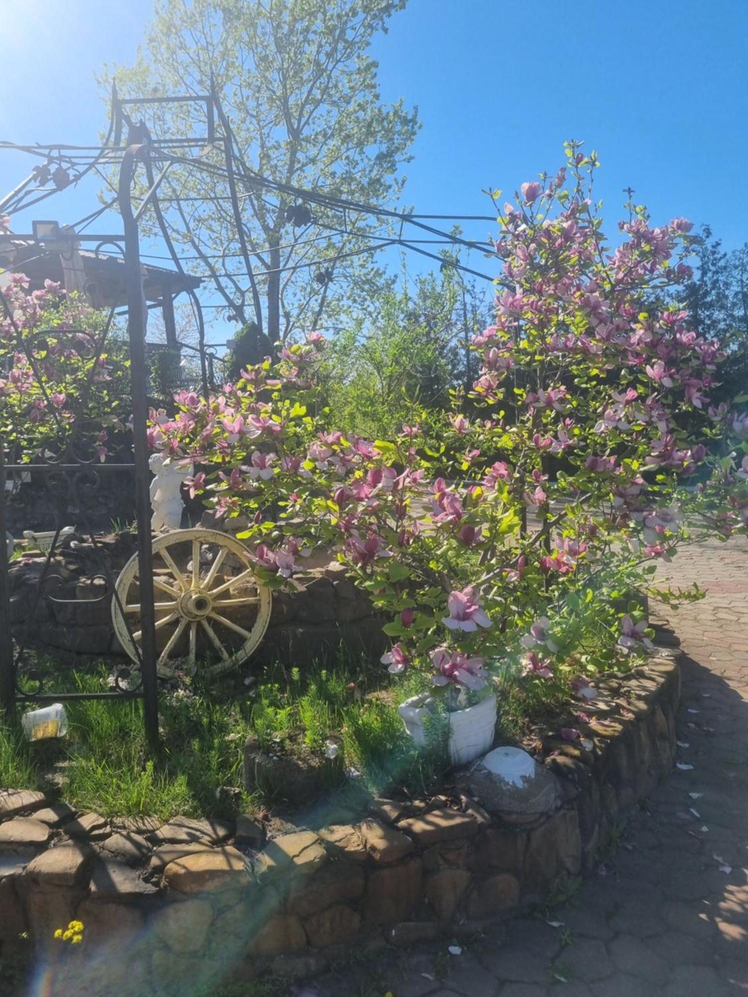 Casa Boiereasca Ξενοδοχείο Ιάσιο Εξωτερικό φωτογραφία